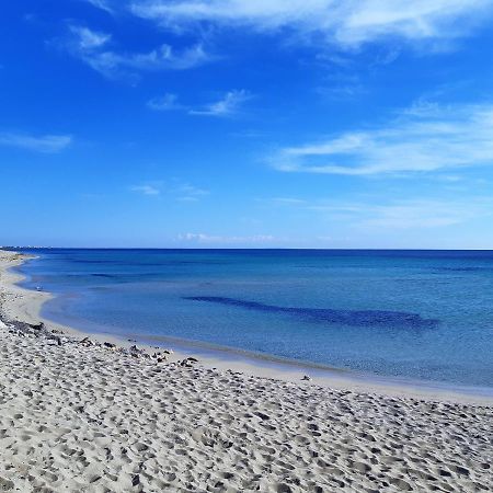 Le Case Di Pat - Palms Home San Pietro in Bevagna Esterno foto