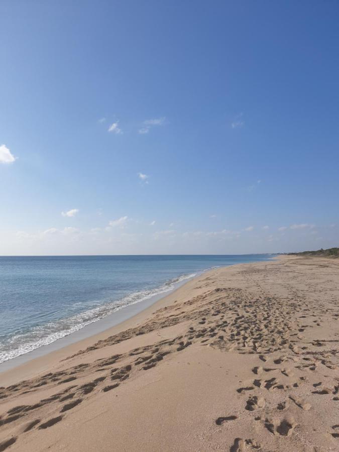 Le Case Di Pat - Palms Home San Pietro in Bevagna Esterno foto